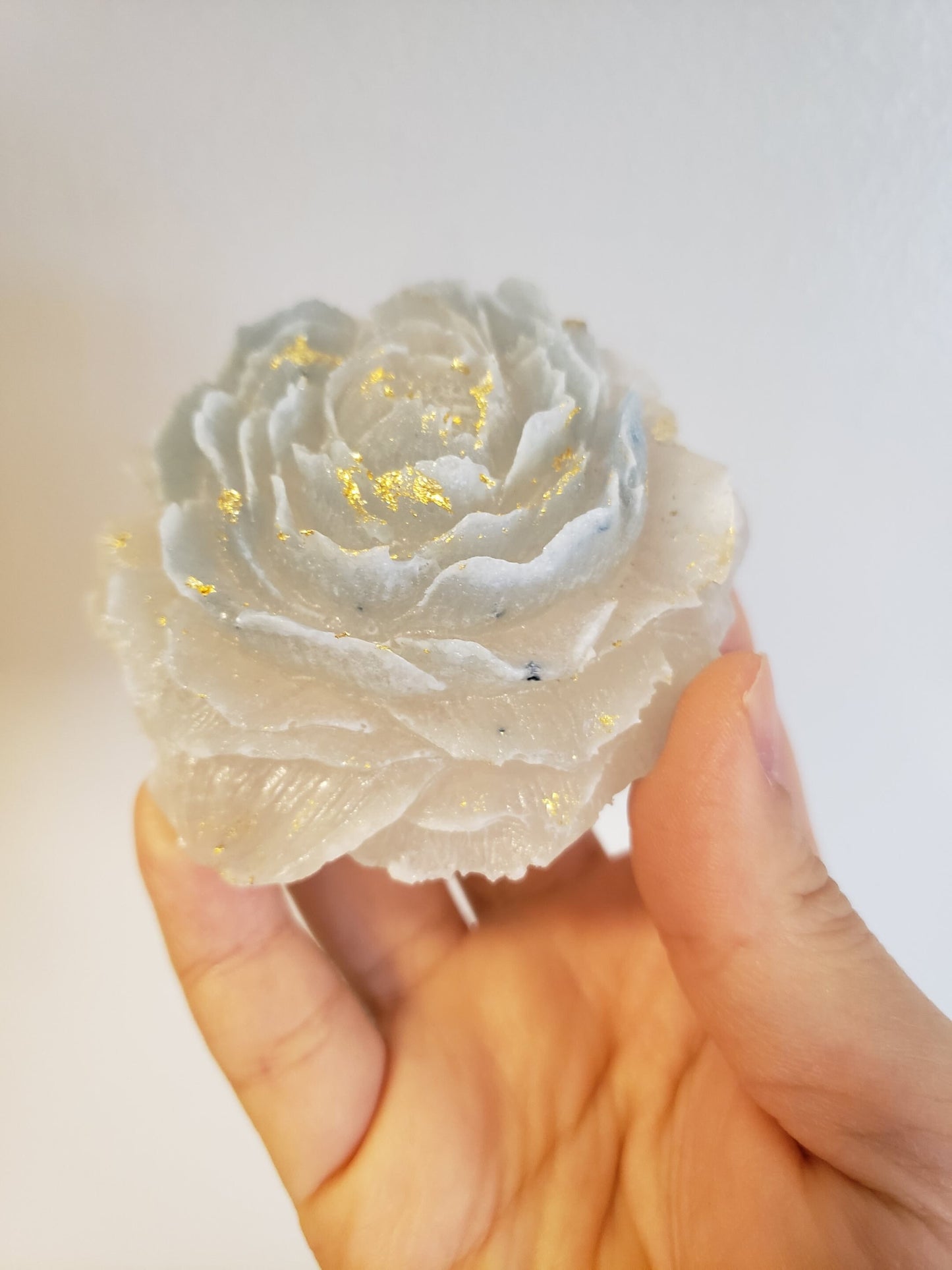 Classic Peony